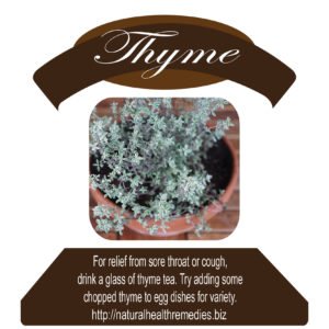 See What Happens When You Start Using Thyme